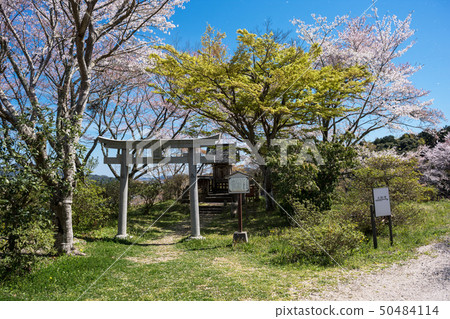 Yamashiro Tsukiyama Tomita Castle Spring Yamashiro Tsukiyama Tomita Castle Spring 50484114