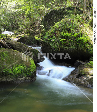 山間溪流 山間溪流 50484580