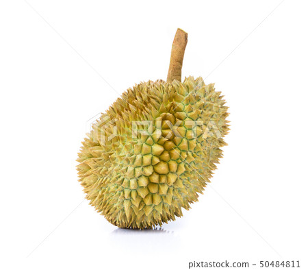 Durian tropical fruit isolaled on white background 50484811