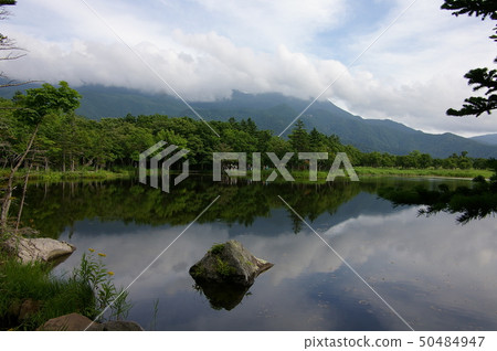 Shiretoko in the summer 50484947