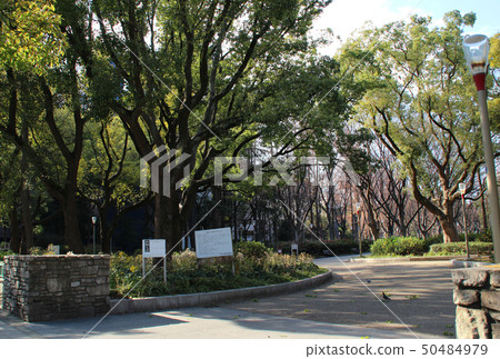 大阪府大阪市太極公園/西區 50484979