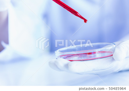 Scientist dropping liquid to petri dish.. 50485964