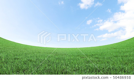 green grass field and blue sky 3D rendering green grass field and blue sky 3D rendering 50486938