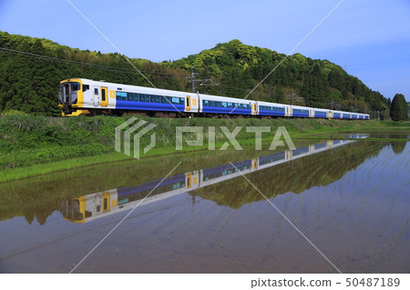Limited Express Limited Express 50487189