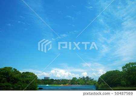 A vibrant and expansive blue sky 50487569
