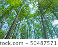 Nature 50487571