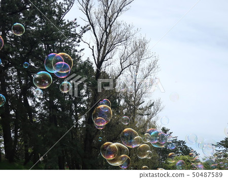 Soap bubble 50487589