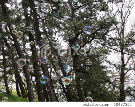 Soap bubble Soap bubble 50487593
