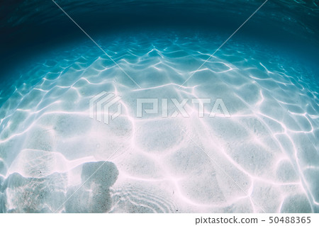 Tropical blue ocean with white sand underwater 50488365