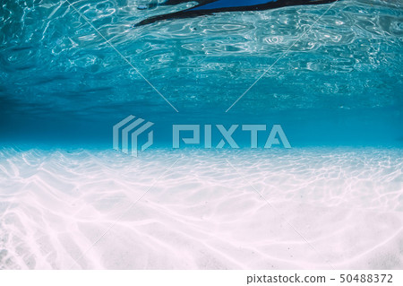 Tropical blue ocean with white sand underwater 50488372
