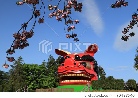 Japan's largest lion head 50488546