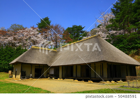春天Mininoku民俗村 春天Mininoku民俗村 50488591