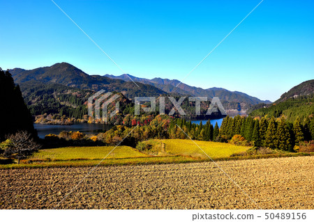 Autumn scenery with beautiful scenery 50489156