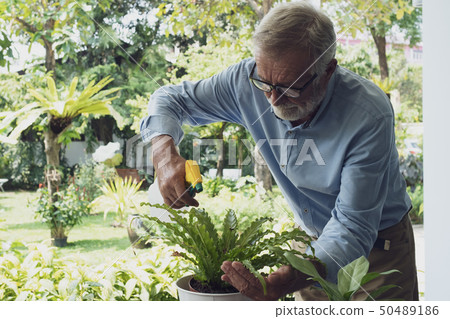 senior man happiness take care of flower at 50489186