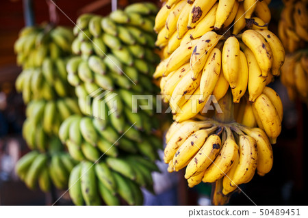 A large bundle of yellow and green bananas on a 50489451