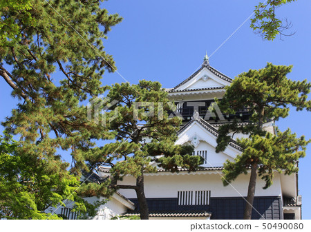 城堡和藍天 50490080