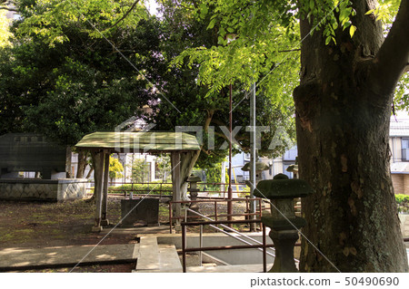 Village company 50490690