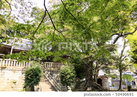 Village company 50490691