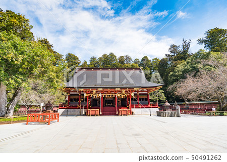 Shiogama Shrine左右神社 Shiogama Shrine左右神社 50491262