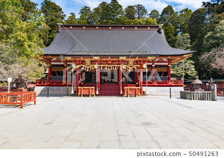 Shiogama Shrine左右神社 Shiogama Shrine左右神社 50491263