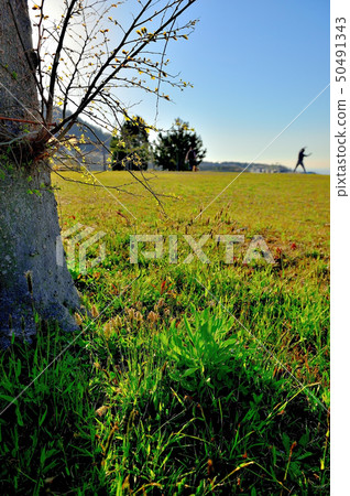 新鮮的綠色和無線電練習 50491343