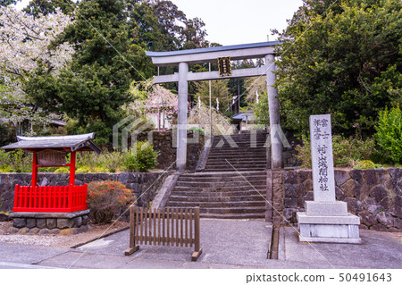 [Fujinomiya City, Shizuoka Prefecture] Murayama Sengen Shrine Spring 50491643