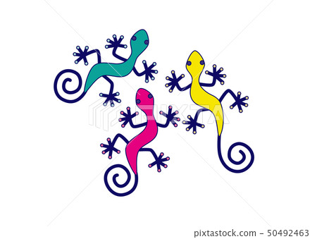 Three color Gecko 50492463