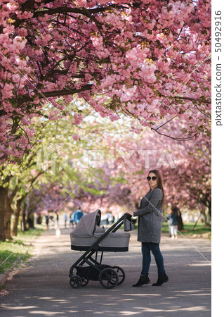 Happy mom walk with her little baby girl in stroller. Background of pink sakura tree Happy mom walk with her little baby girl in stroller. Background of pink sakura tree 50492916
