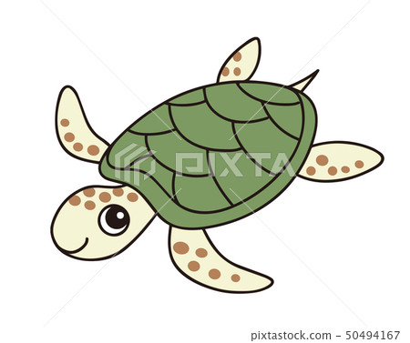 Sea turtle 50494167