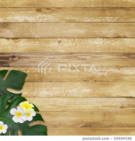 Background-Sea-Summer-Beach-Wood Deck-Monstera-Plumeria Background-Sea-Summer-Beach-Wood Deck-Monstera-Plumeria 50494596