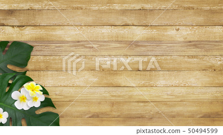 Background-Sea-Summer-Beach-Wood Deck-Monstera-Plumeria 50494599