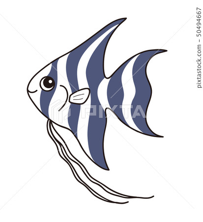 神仙魚神仙魚 50494667