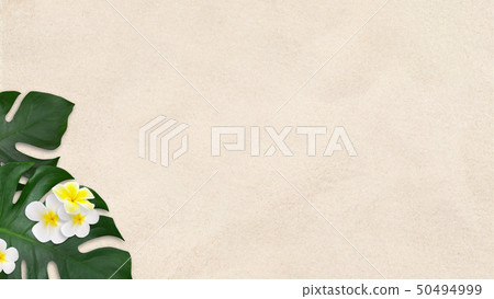 Background-Sea-Summer-Beach-Monstera-Plumeria Background-Sea-Summer-Beach-Monstera-Plumeria 50494999