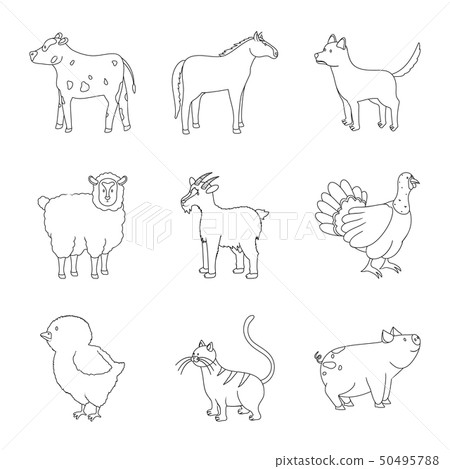 Vector illustration of homemade and countryside icon. Collection of homemade and agriculture stock 50495788