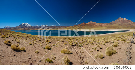 Amazing Lake Miscanti gigapan in the highlands of Chile 50496002