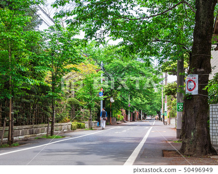 Residential area / quiet residential area image 50496949