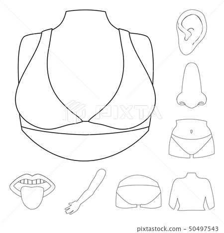 Vector illustration of body and part sign. Collection of body and anatomy stock symbol for web. 50497543