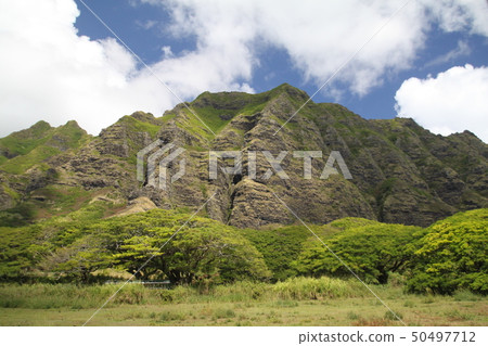 Kualoa Lunch Kualoa Lunch 50497712