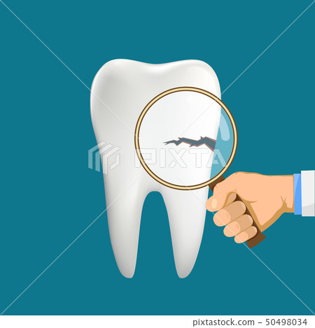 Dentist with a magnifying glass shows a tooth - Stock Illustration ...