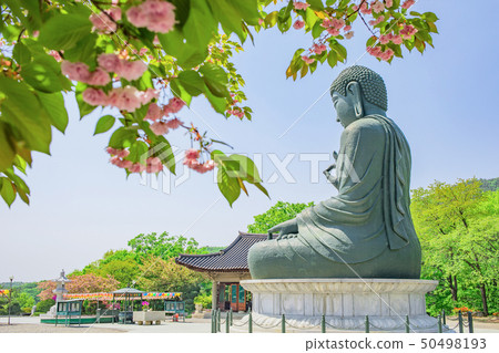 Gakwonsa jwabul側 50498193