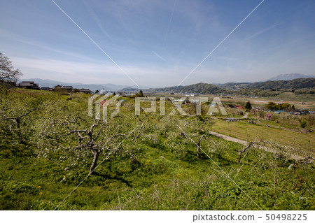 Natural scenery of Hokushinshu 50498225