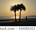 Sunrise and palm trees 50498301
