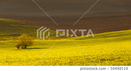 Turiec region, Slovakia. 50498519