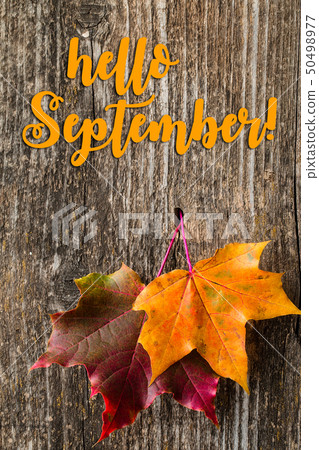 Autumn background with HELLO SEPTEMBER letters 50498977