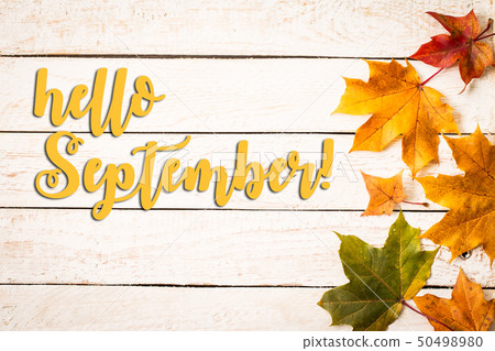 Colorful autumn leaves on white rustic background. 50498980