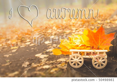 Autumn leaves on a wooden cart. soft selective 50498981