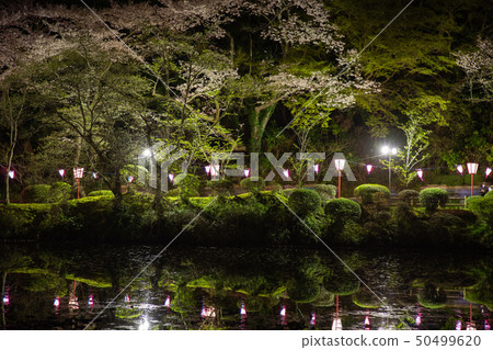 Mobara Park light up Mobara Park light up 50499620