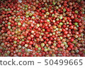 Top view of fresh red juicy gooseberries 50499665