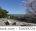 The townscape of Ise Bay and Mihama-cho seen from Tsujizaki Park (April 2019, Chita-gun, Aichi Prefecture) The townscape of Ise Bay and Mihama-cho seen from Tsujizaki Park (April 2019, Chita-gun, Aichi Prefecture) 50499724