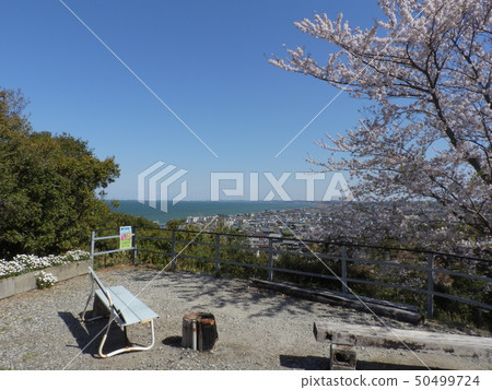 從Tsujizaki公園看的伊勢灣和美濱町的市鎮景觀(愛知縣知多郡2019年4月) 從Tsujizaki公園看的伊勢灣和美濱町的市鎮景觀(愛知縣知多郡2019年4月) 50499724
